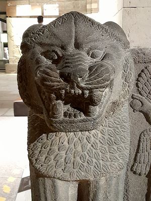 20240623_123919.jpg