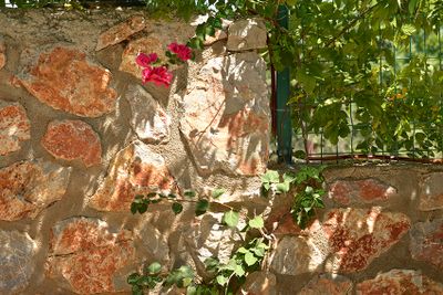 walls