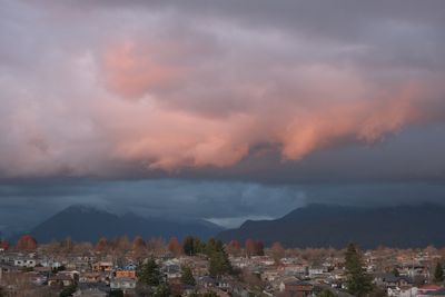DSCF6229.JPG