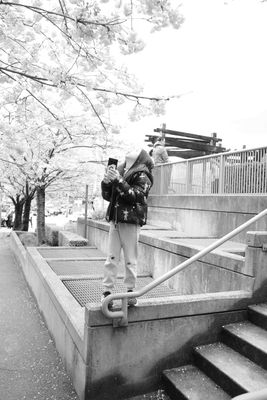 Cherry Blossom Time