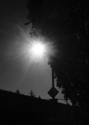 g13/24/427024/3/174011280.681dbb43.JPEG