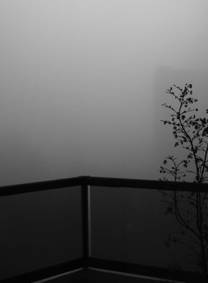 g13/24/427024/3/174158107.0bce12f7.JPEG
