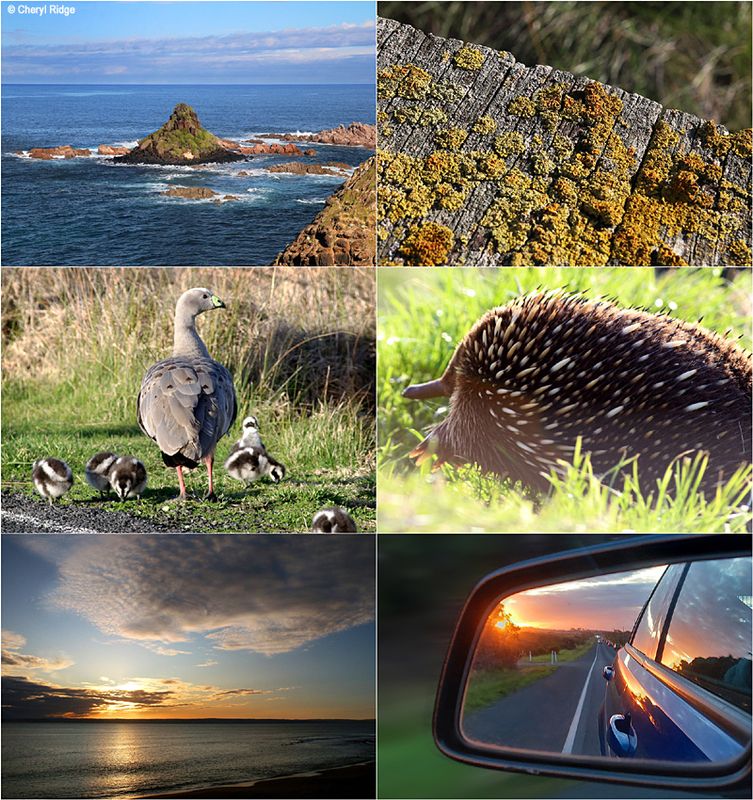 Phillip Island misc