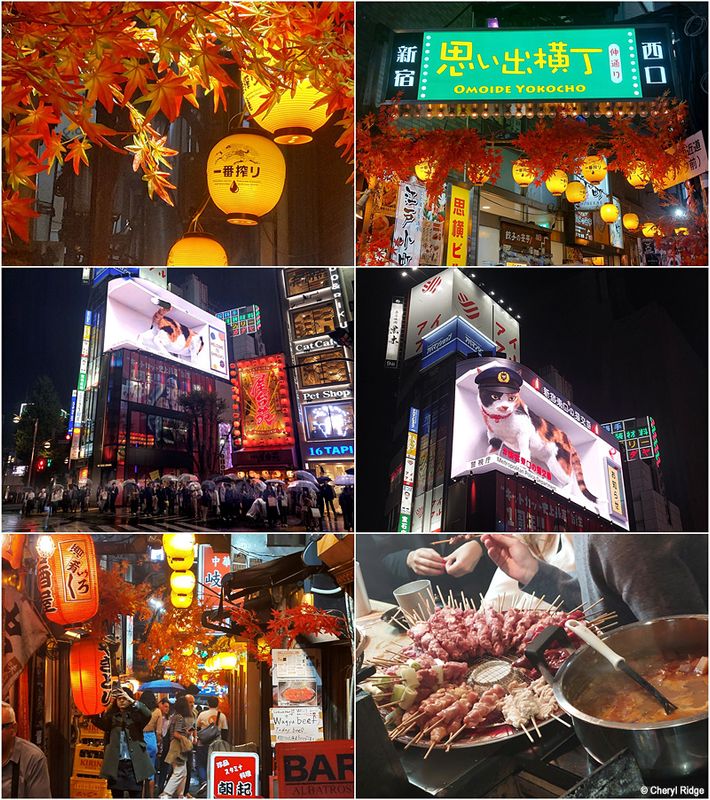 shinjuku-at-night.jpg