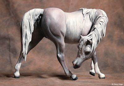 Extreme resculpt Arabian mare by Jami Bloxham