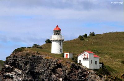 Taiaroa Head Nature Reserve / Pukekura and lighthouse