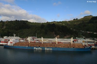 Port Chalmers early morning