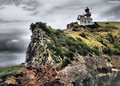 Taiaroa Head Nature Reserve / Pukekura and lighthouse