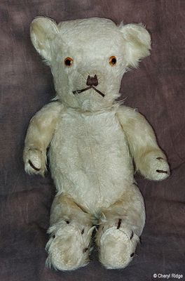 Vintage Pedigree teddy bear