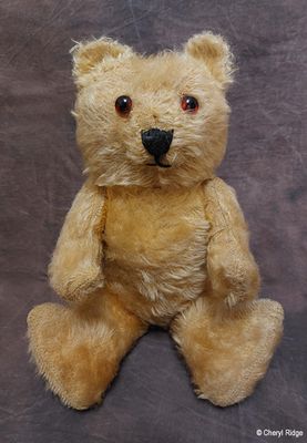 vintage unknown bear