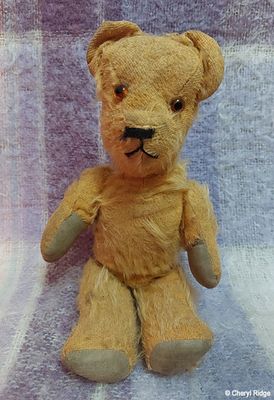 vintage unknown bear