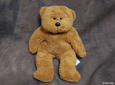 Beanie Kids - mystery bear PROTOTYPE
