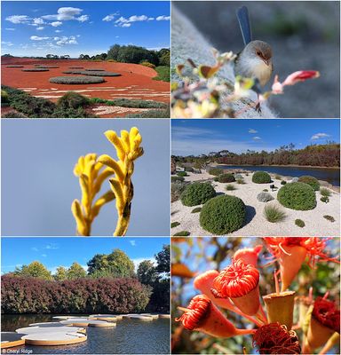 Australian Garden Cranbourne