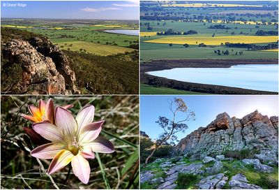 mount-arapiles-montage1.jpg