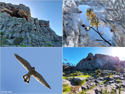 mount-arapiles-montage3.jpg