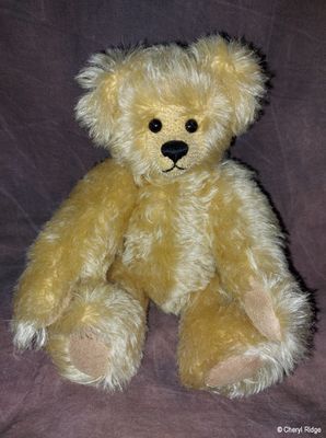 Paupalina Melbourne bear