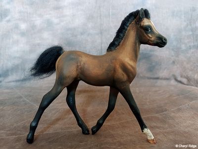 Custom model horses