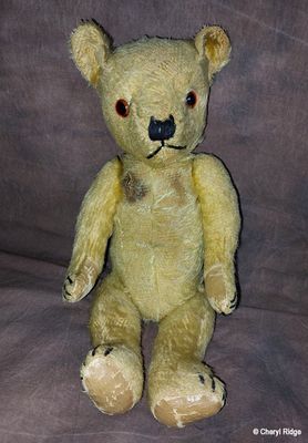 vintage unknown bear