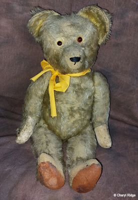vintage unknown bear