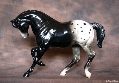Hartland Quarter Horse