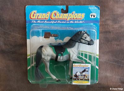 Grand Champions Thoroughbred stallion