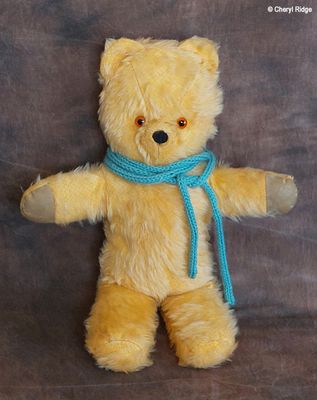vintage unknown bear
