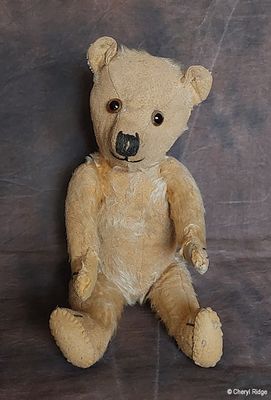 vintage unknown bear