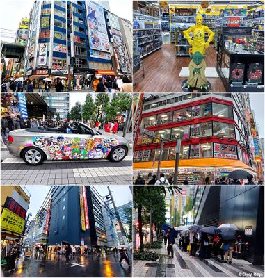 akihabara-montage2.jpg