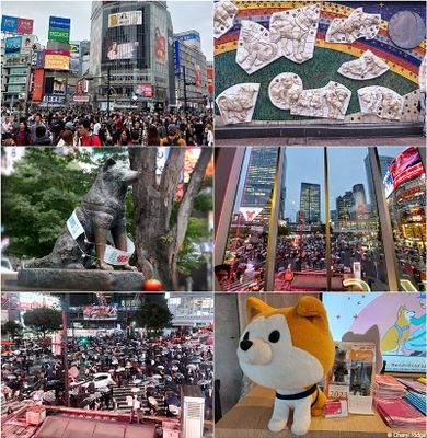shibuya-montage.jpg