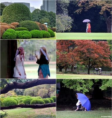 shinjuku-gyoen-national-garden2.jpg
