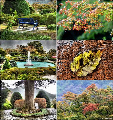 hakone-gora-park-montage.jpg