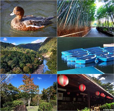 arashiyama-montage2.jpg