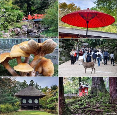 Kyoto Japan