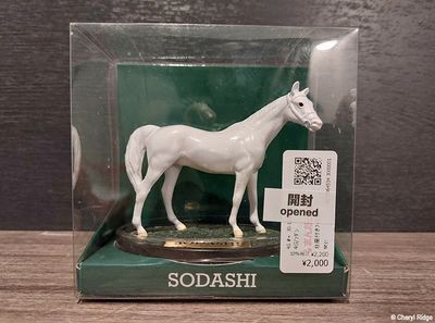 Santo Co Ltd Sodashi