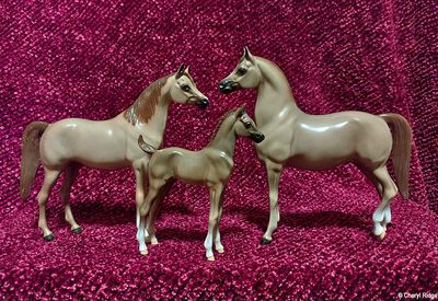 Hartland horses