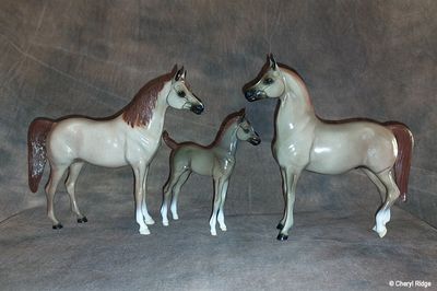 Other horses