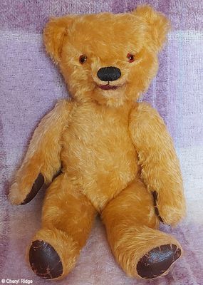 English and European bears
