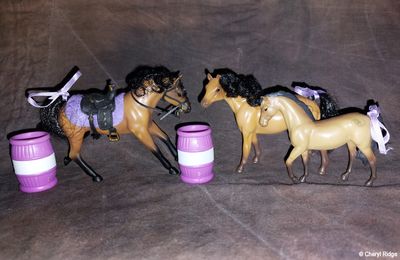 Grand Champions Mini Horse Family