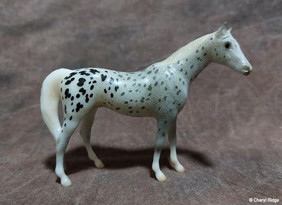 Breyer Stablemate G1 Citation - Wallowa appaloosa 2024