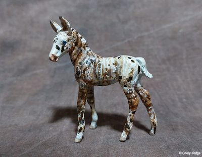 Mini customs