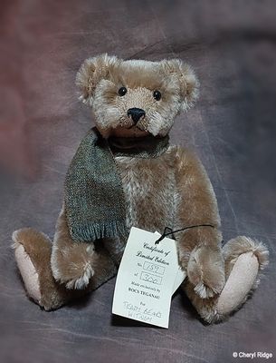 Artist bears