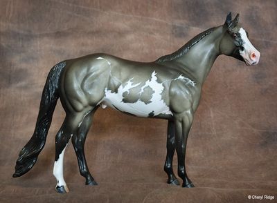 Custom model horses