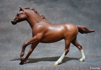 Breyer Stablemate CM by Karen Dodds
