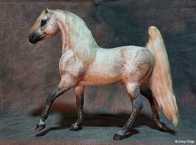 Breyer Sham CM by Kerralie Banham
