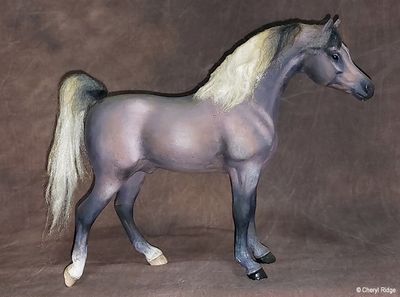 Custom model horses