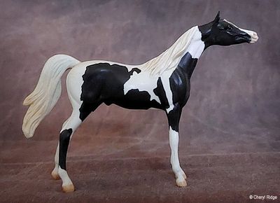 Peter Stone Chips special run Arab - Mini Me Regal