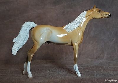 Peter Stone Chips special run Arab - palomino