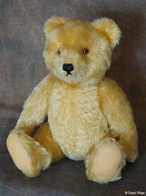 Steiff bears