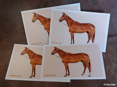 Phar Lap postcards from Melbourne Museum