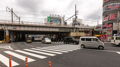 IMG_6487.jpg